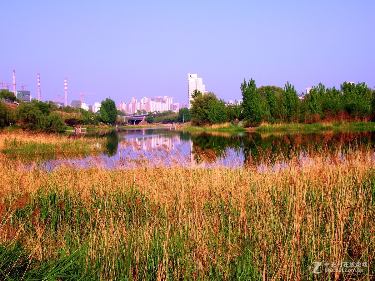 初夏鄭州市西流湖溼地公園風光