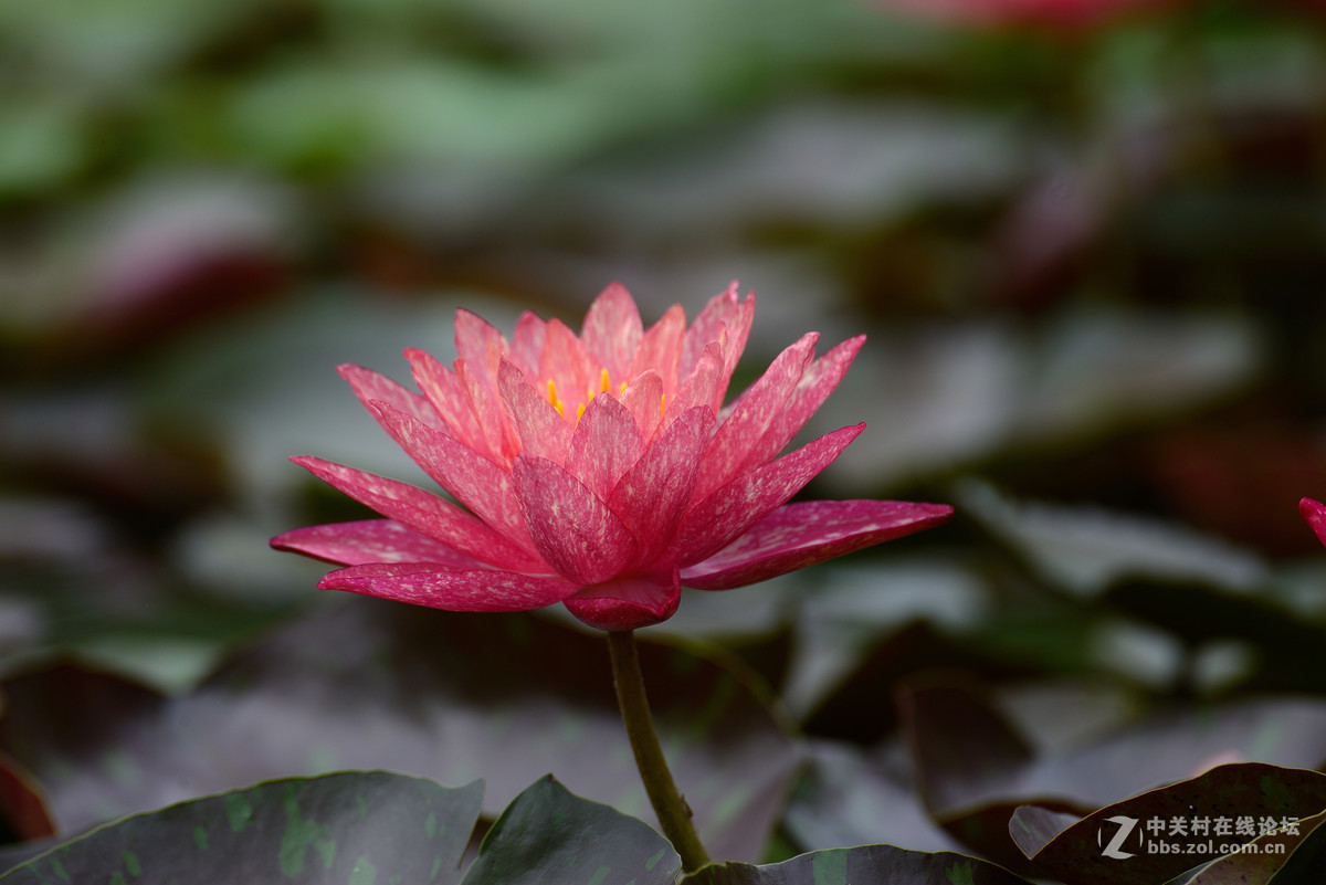 重新采用photoshopcs6压缩后的图片