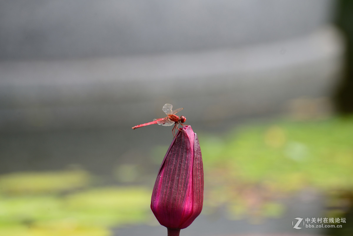 重新采用photoshopcs6压缩后的图片