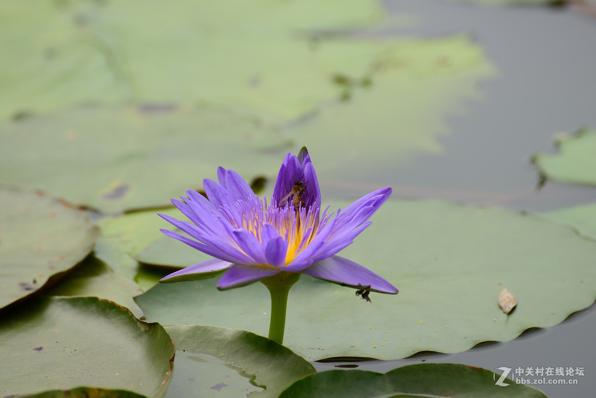 重新采用photoshopcs6压缩后的图片