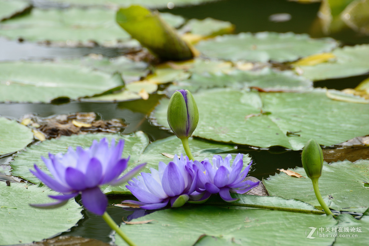 重新采用photoshopcs6压缩后的图片