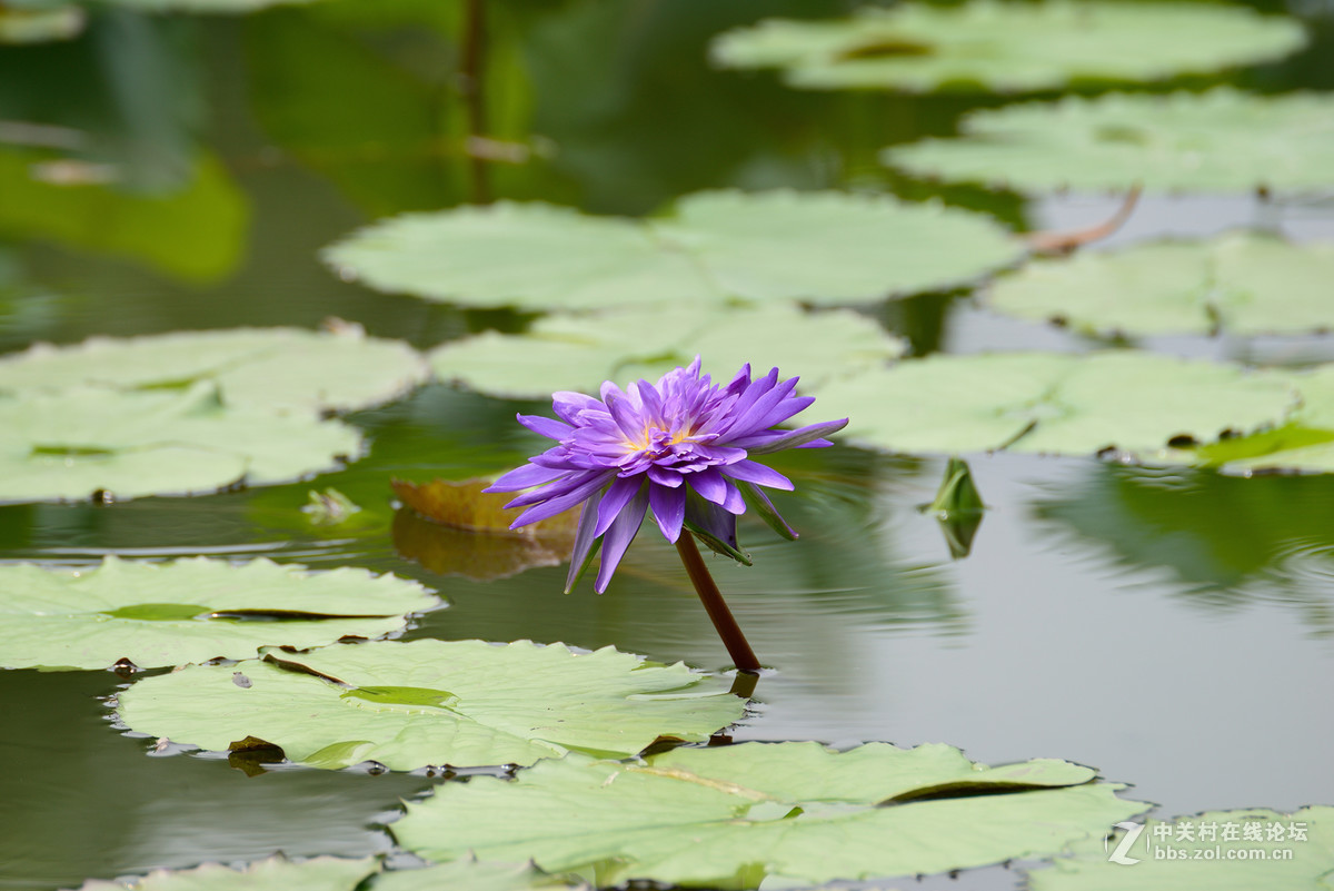 重新采用photoshopcs6压缩后的图片