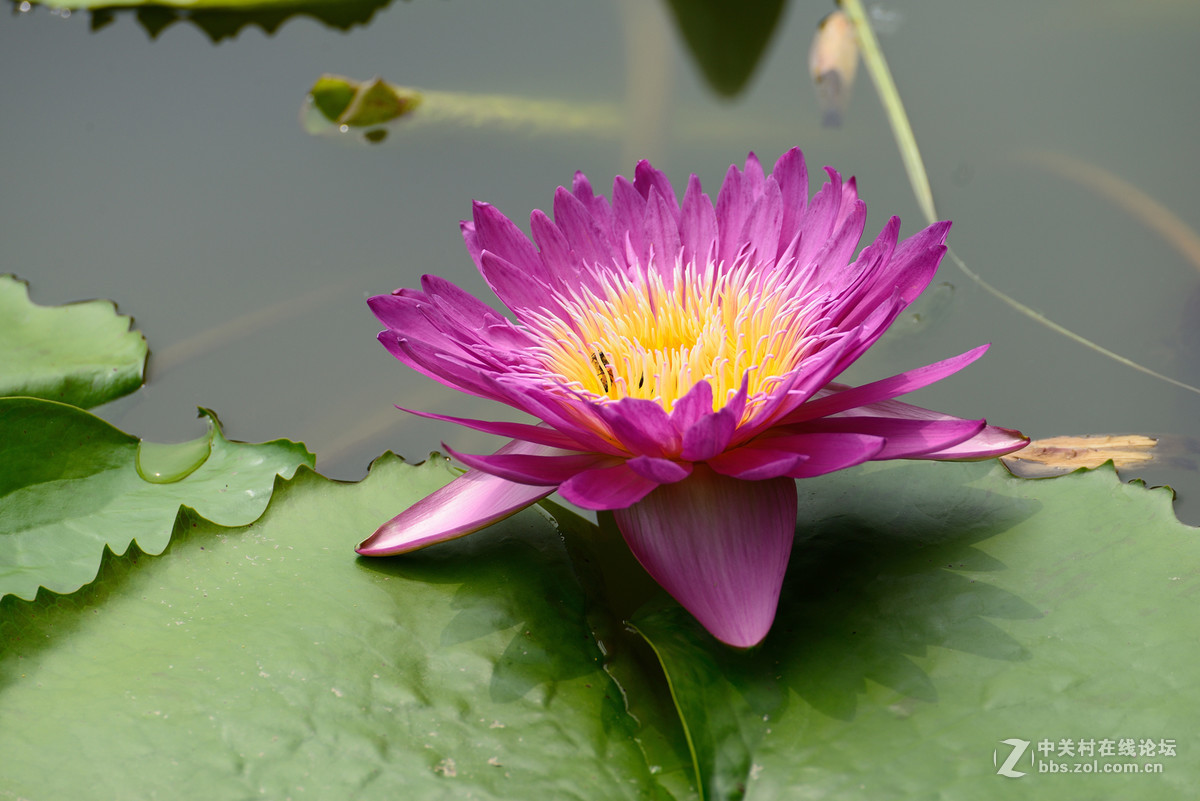 重新采用photoshopcs6压缩后的图片