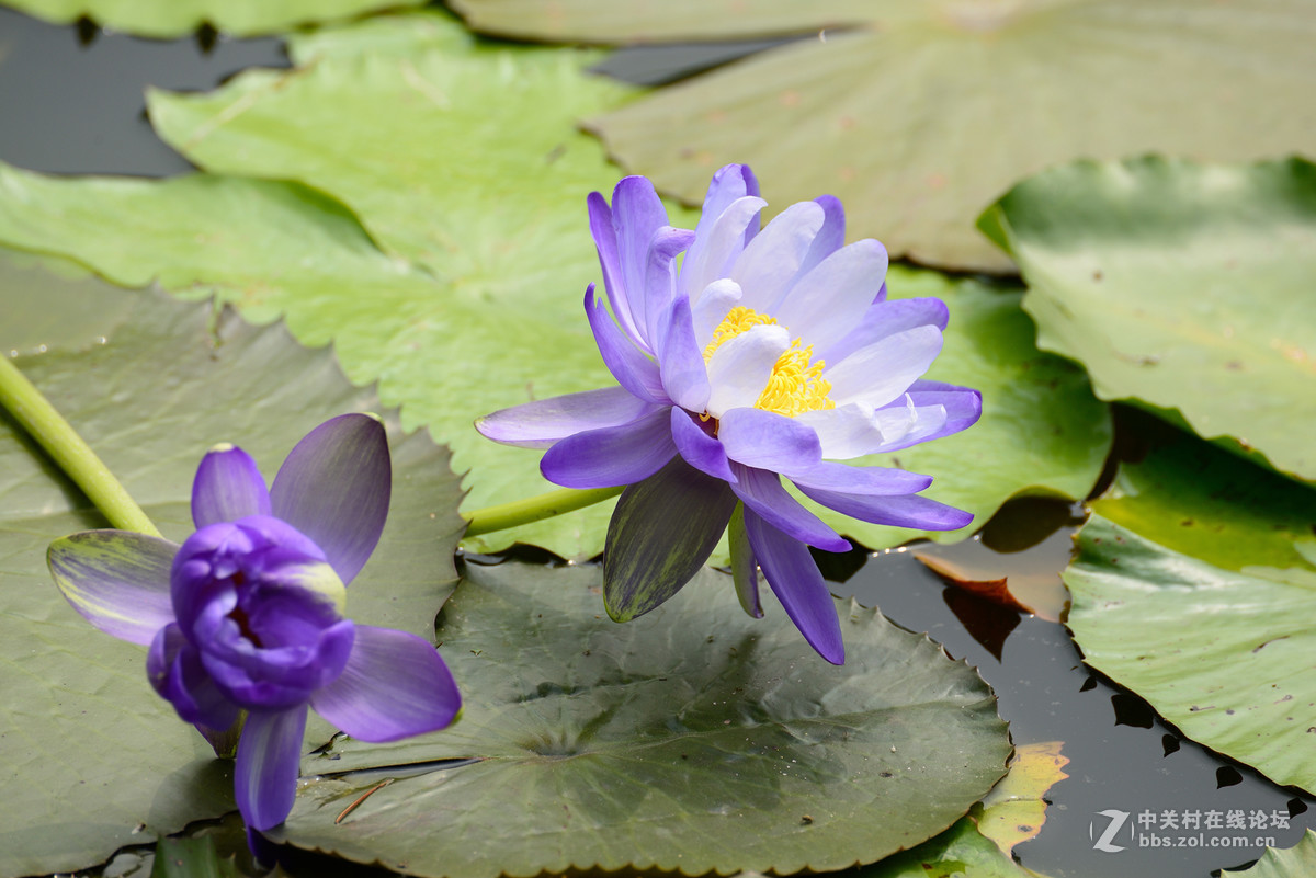 重新采用photoshopcs6压缩后的图片