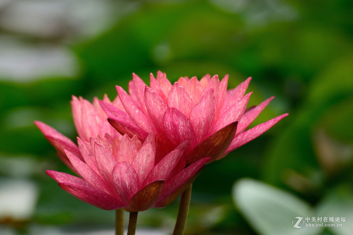 重新采用photoshopcs6压缩后的图片