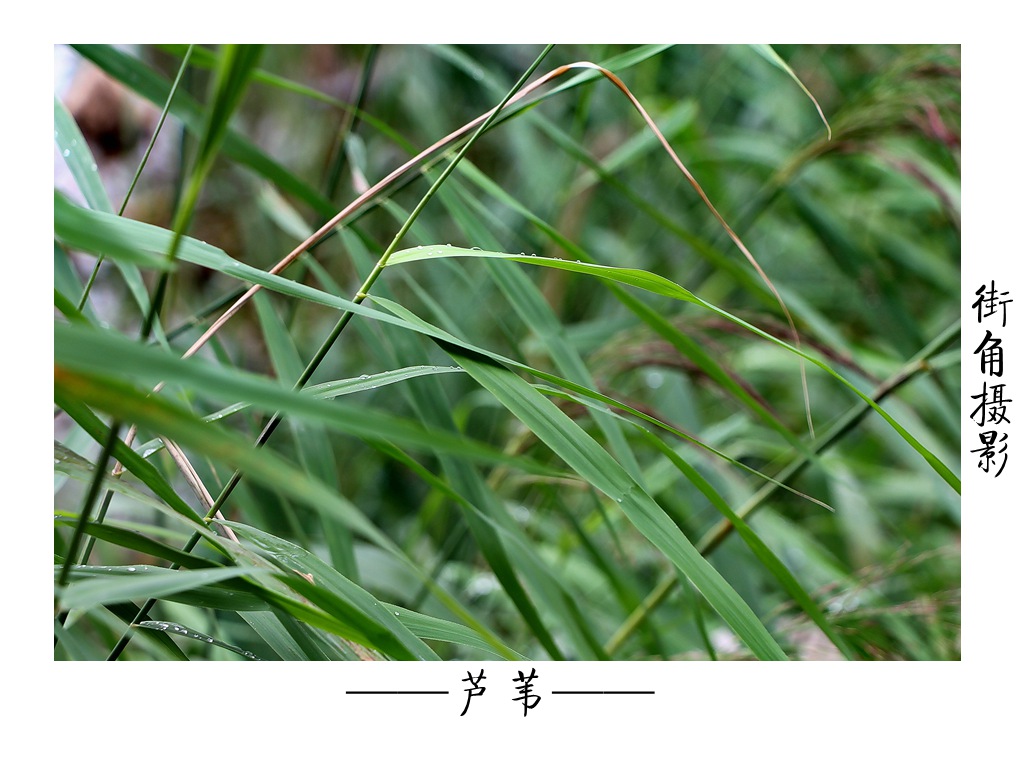 好久没来星空(中国)了，上几张随意的外拍。