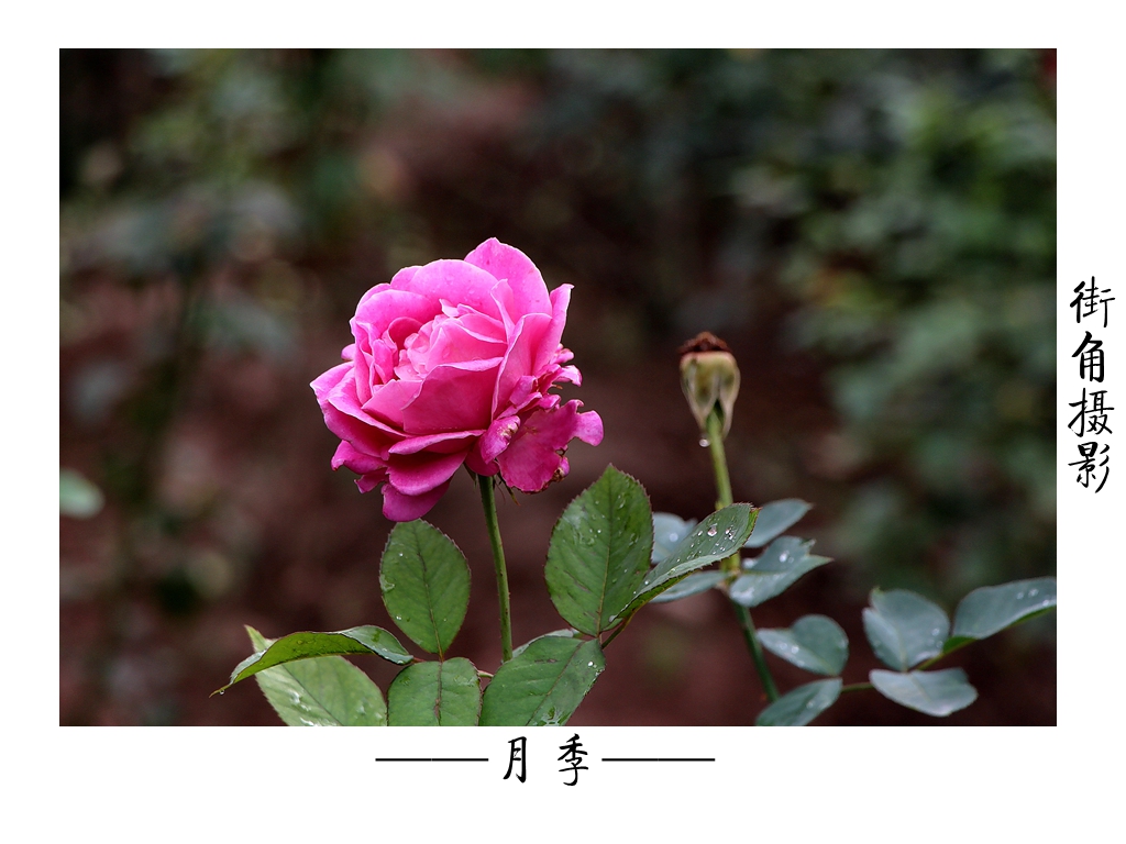 好久没来星空(中国)了，上几张随意的外拍。