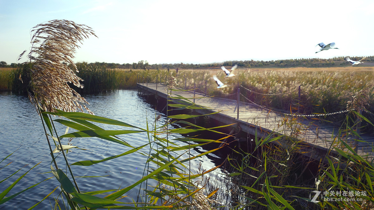 东北的美景看过来