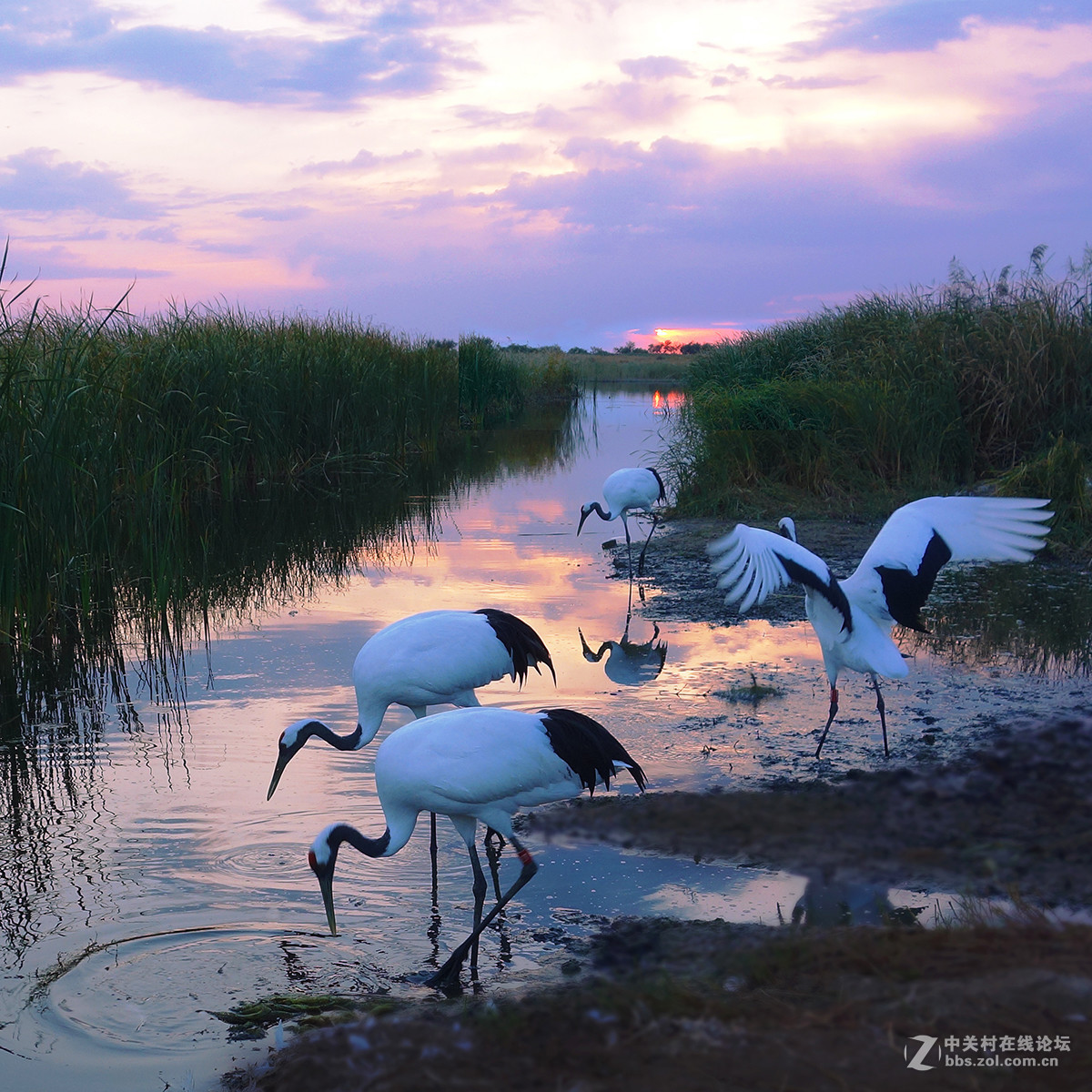 东北的美景看过来