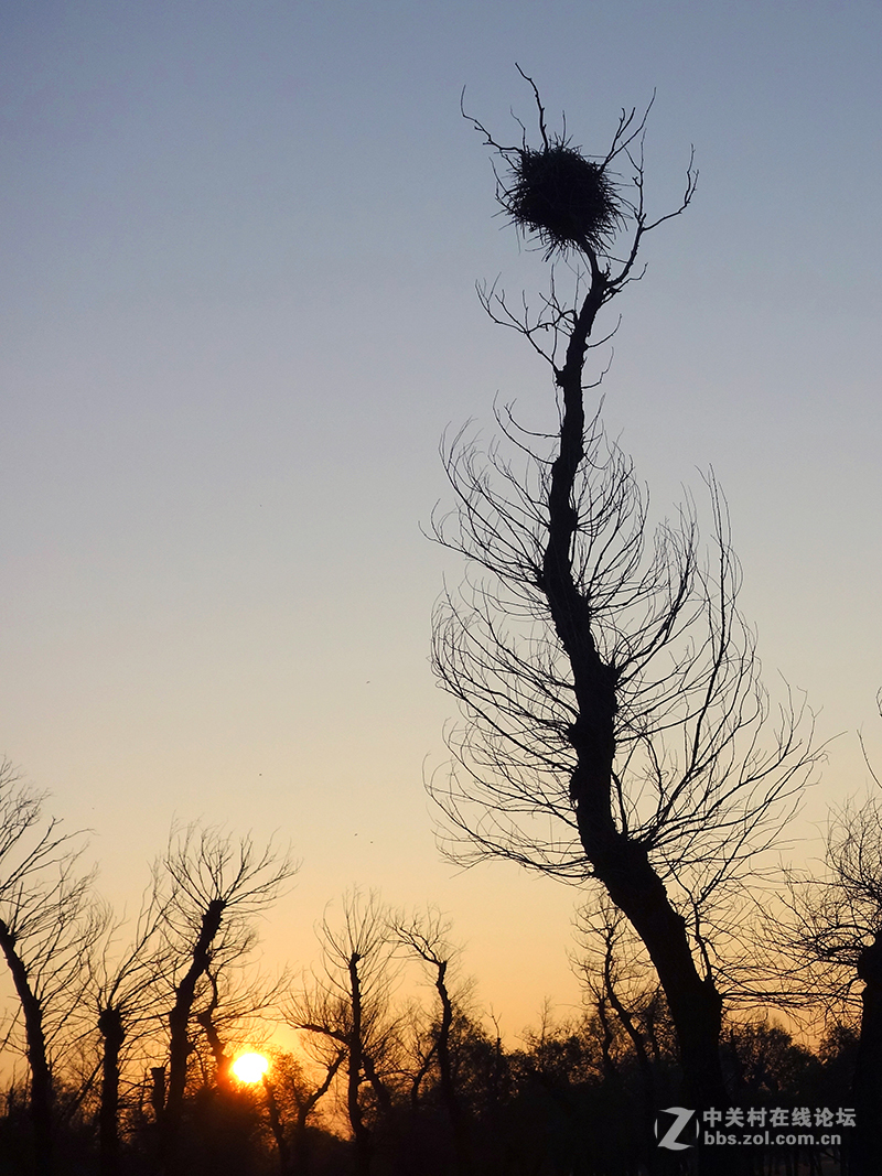 东北的美景看过来