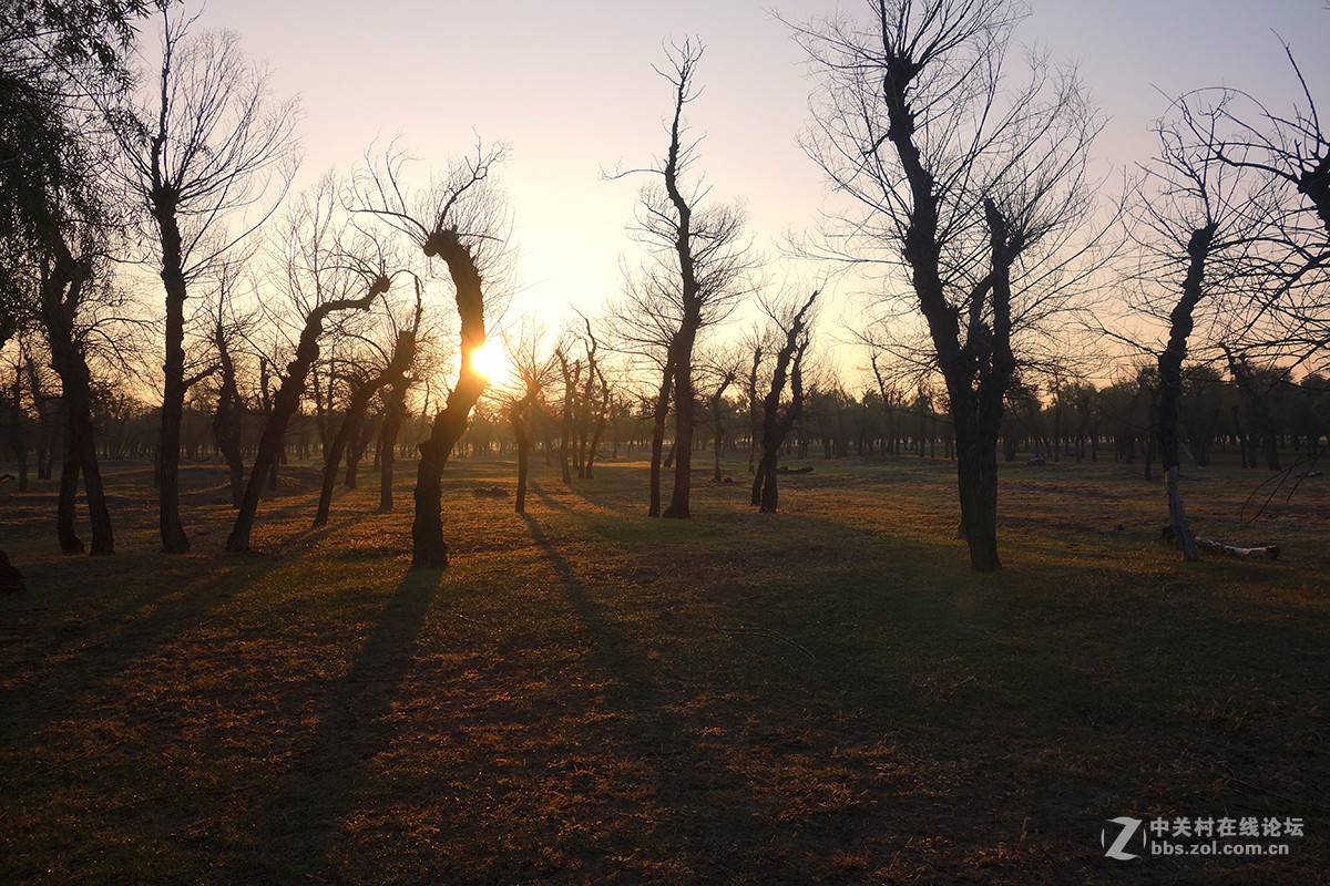 东北的美景看过来
