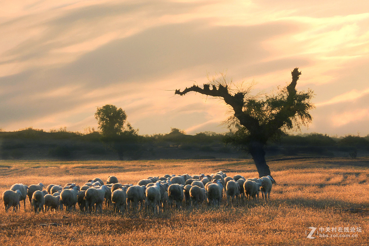 东北的美景看过来