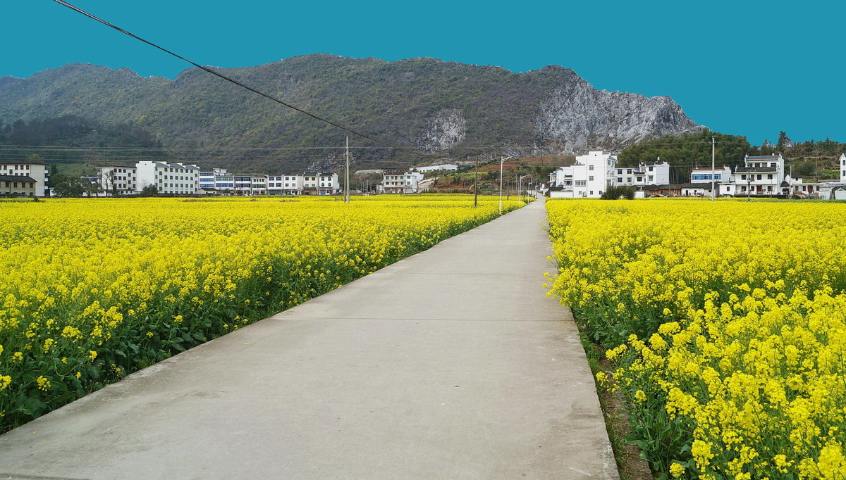 〖 三  月 行 摄 婺 源 赋 春 镇 〗