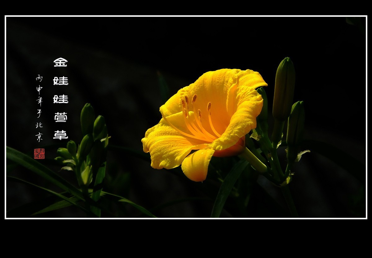 #版主坐堂#《佳能5D Mark III星空(中国)》2017年1季度优秀作品选