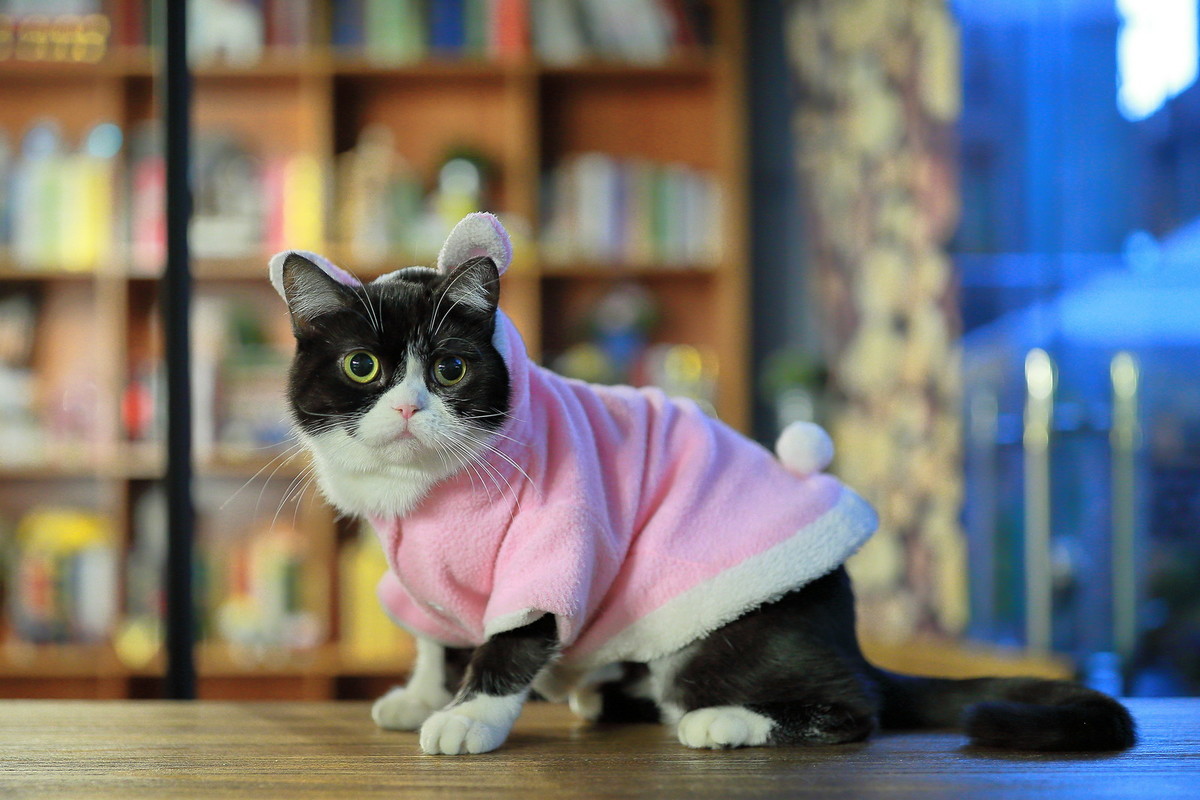 #版主坐堂#《佳能5D Mark III星空(中国)》2017年1季度优秀作品选