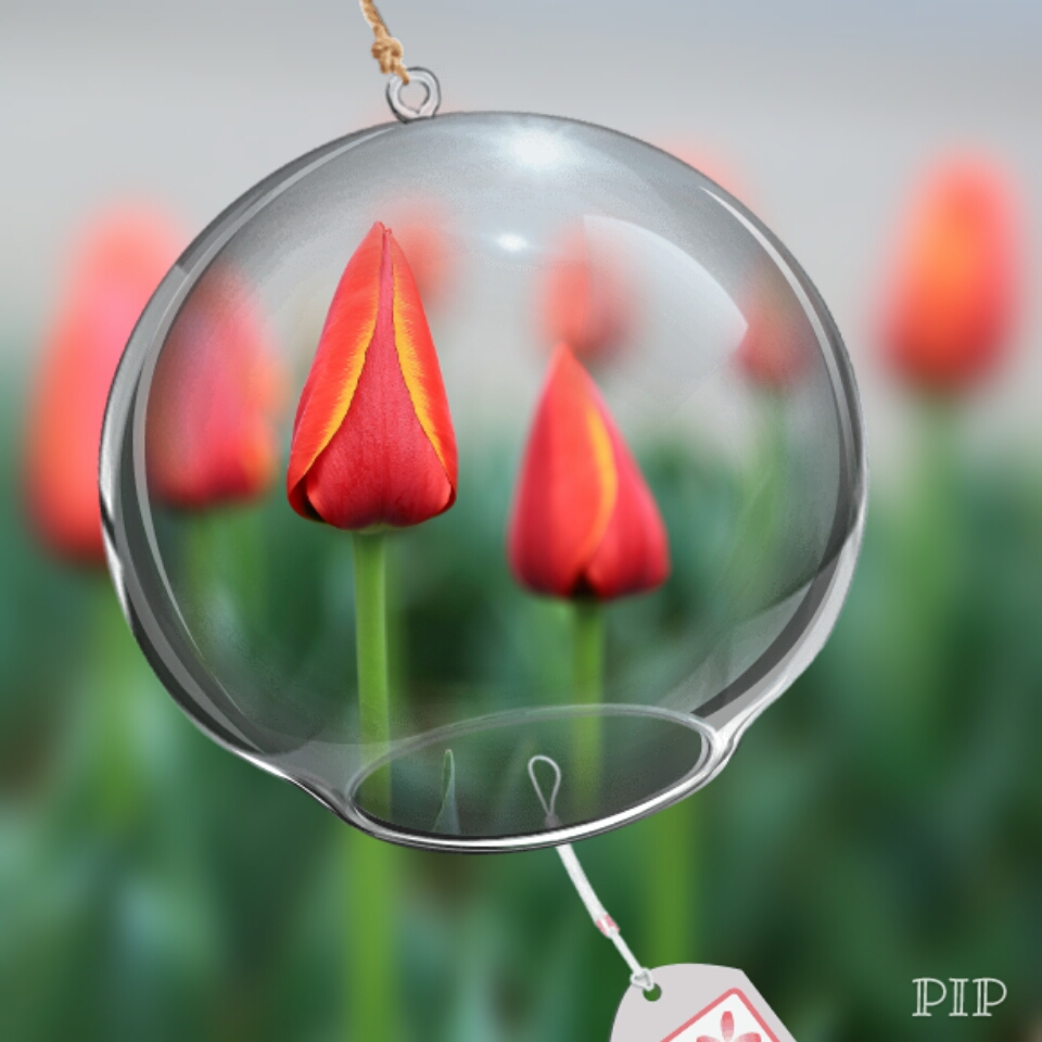 #版主坐堂#《佳能5D Mark III星空(中国)》2017年1季度优秀作品选