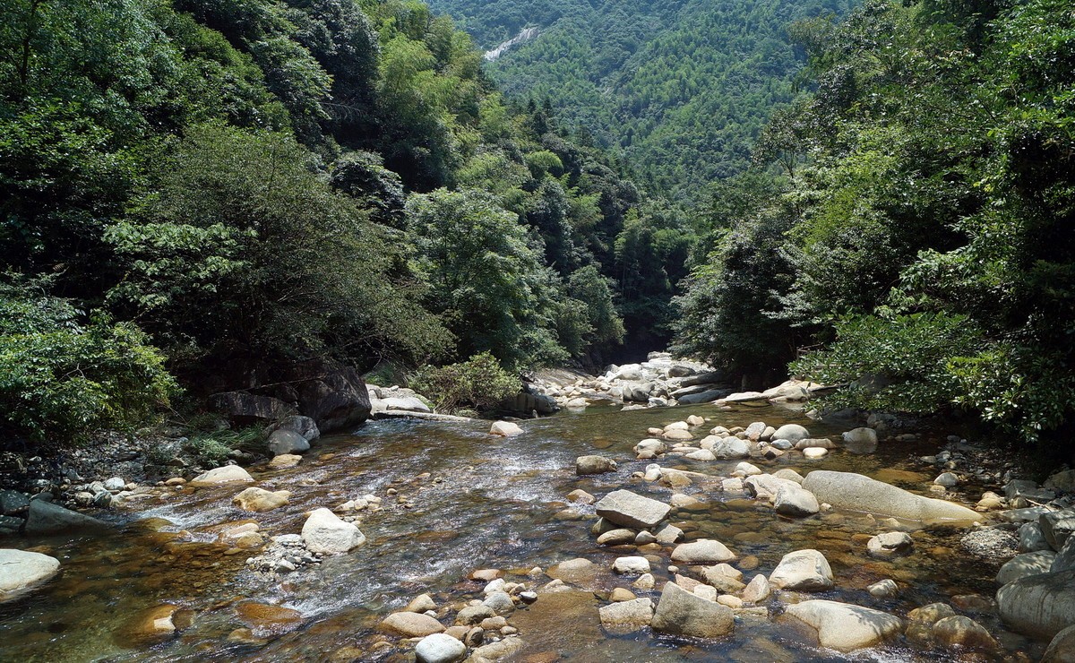 婺源大鄣山臥龍谷的夏天一