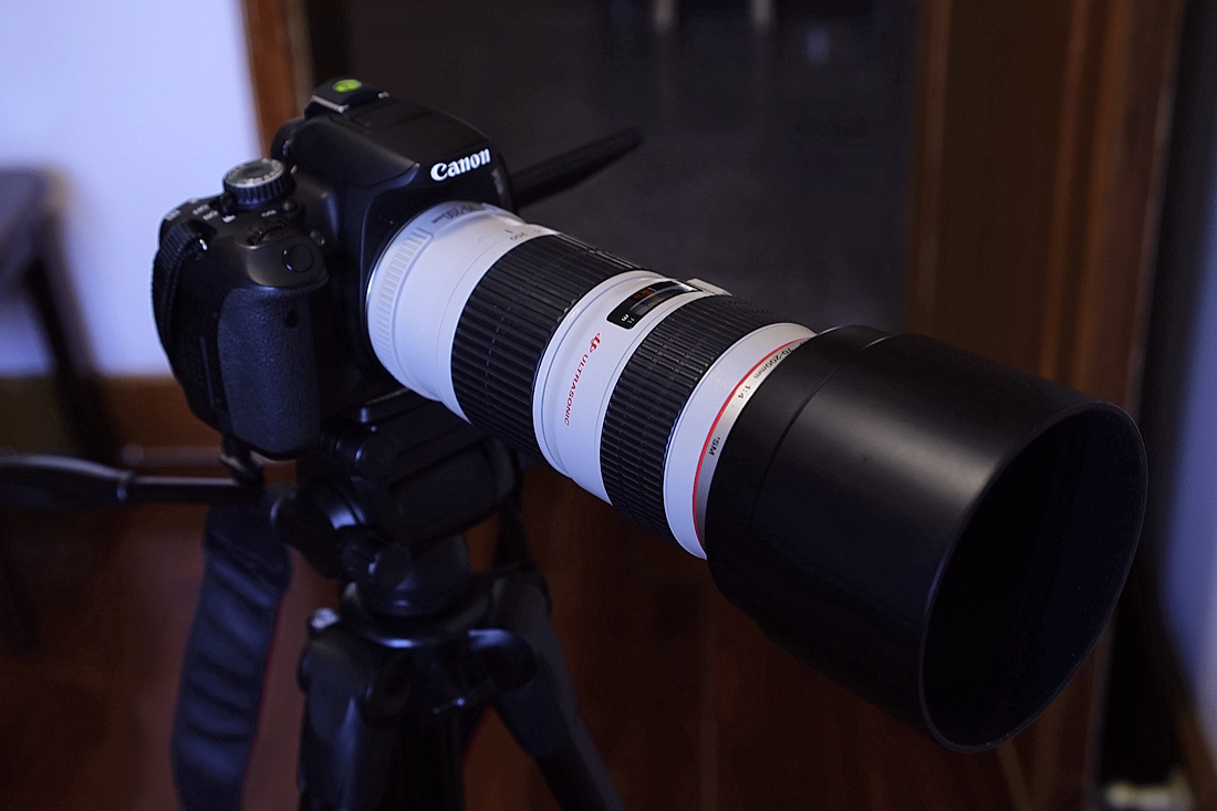 佳能650D+小小白随拍（手执拍摄）