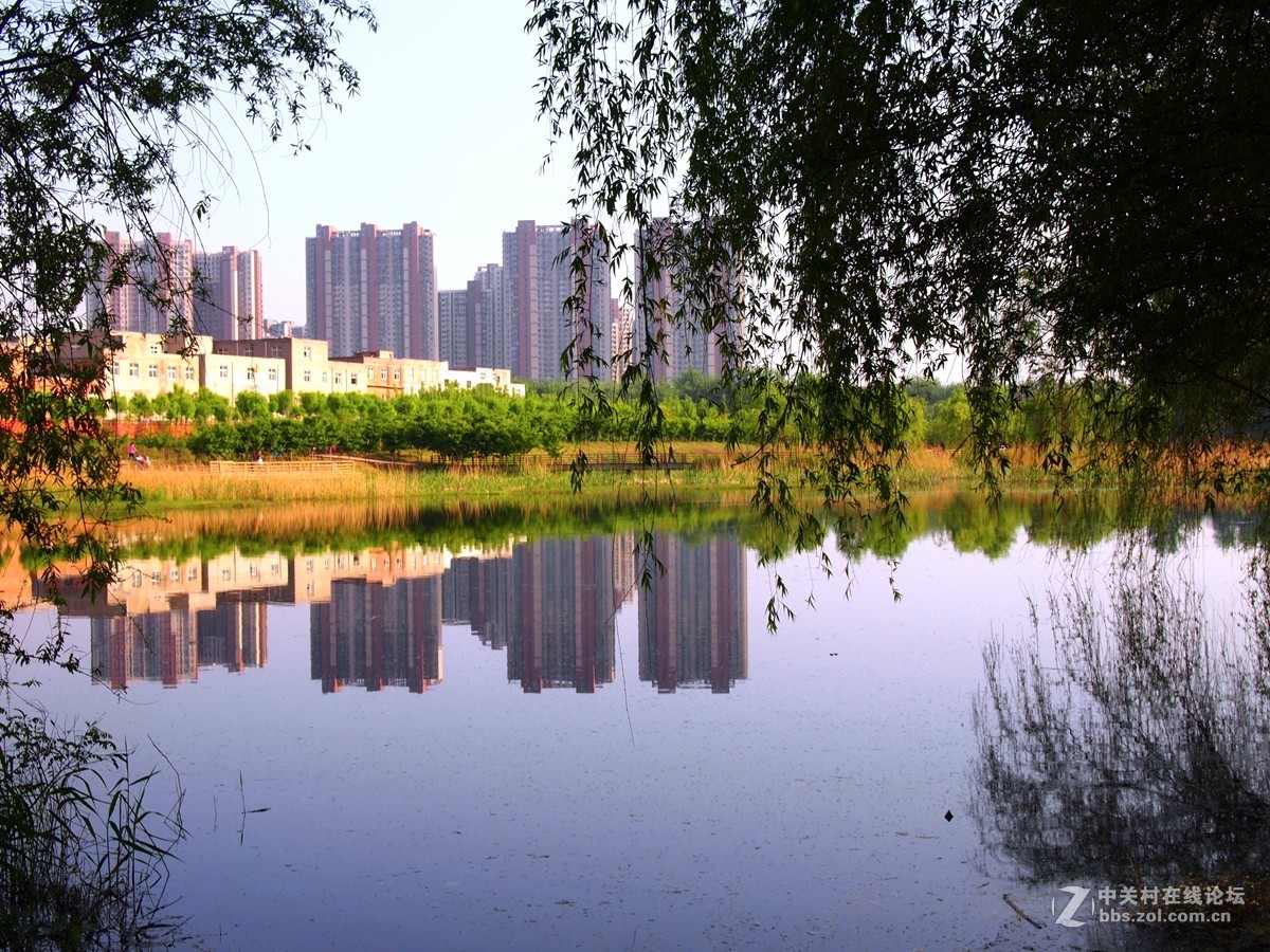 初夏鄭州市西流湖溼地公園風光