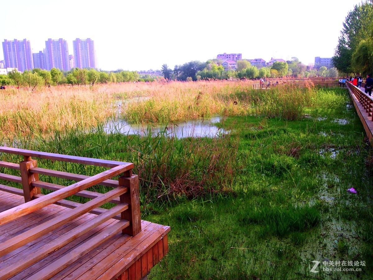 初夏鄭州市西流湖溼地公園風光