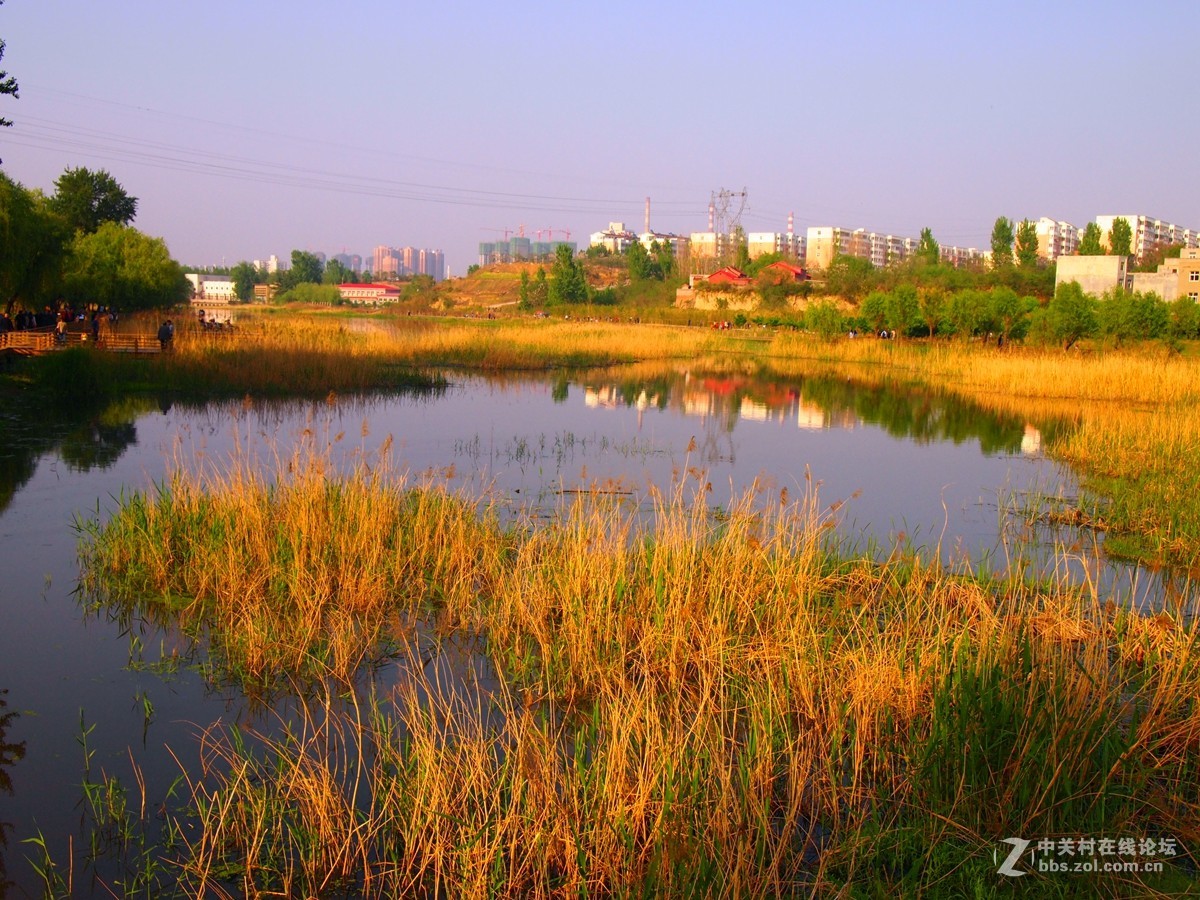 初夏鄭州市西流湖溼地公園風光