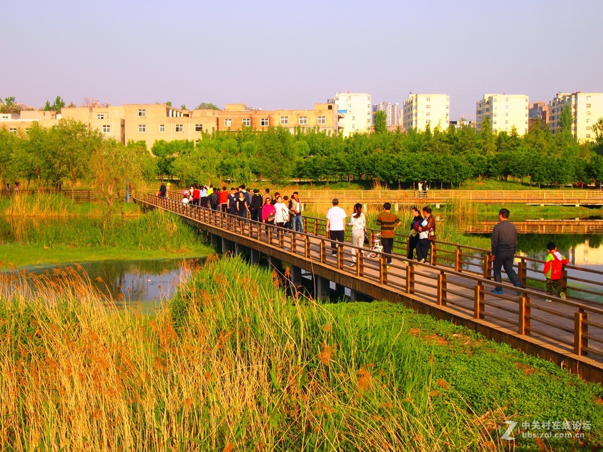 初夏鄭州市西流湖溼地公園風光