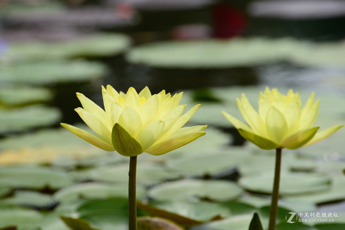 重新采用photoshopcs6压缩后的图片