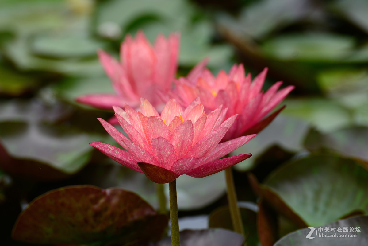 重新采用photoshopcs6压缩后的图片