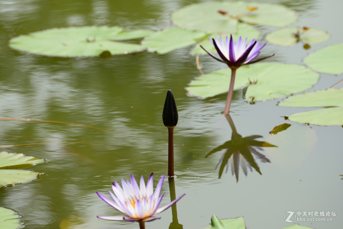 重新采用photoshopcs6压缩后的图片