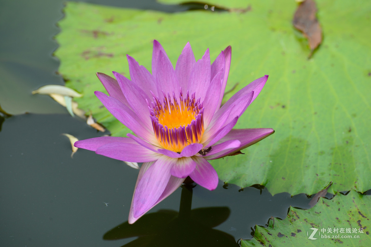 重新采用photoshopcs6压缩后的图片