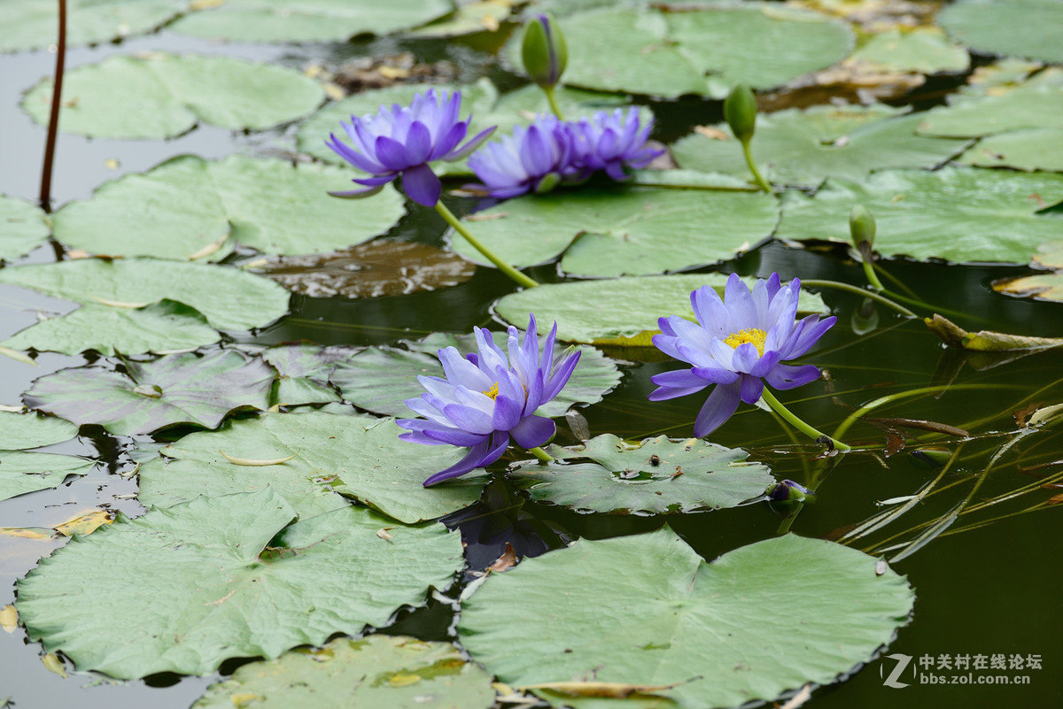 重新采用photoshopcs6压缩后的图片