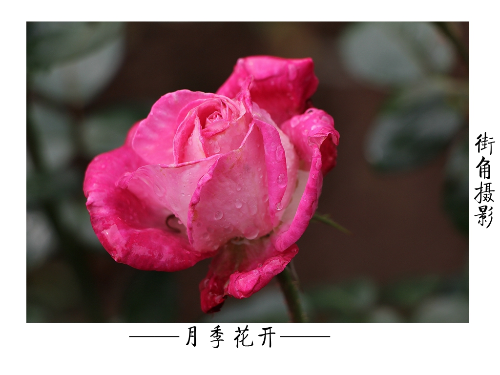 好久没来星空(中国)了，上几张随意的外拍。