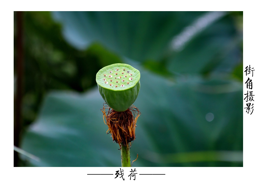 好久没来星空(中国)了，上几张随意的外拍。