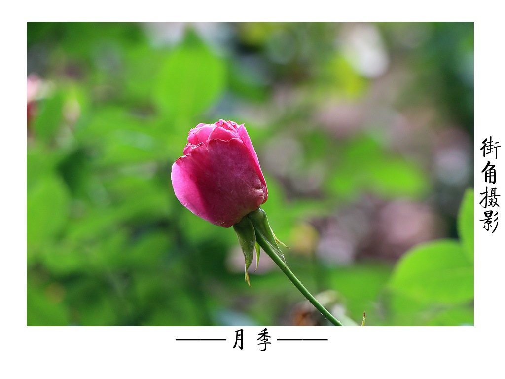 好久没来星空(中国)了，上几张随意的外拍。