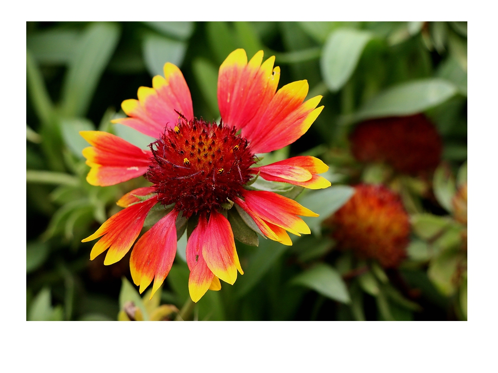 好久没来星空(中国)了，上几张随意的外拍。