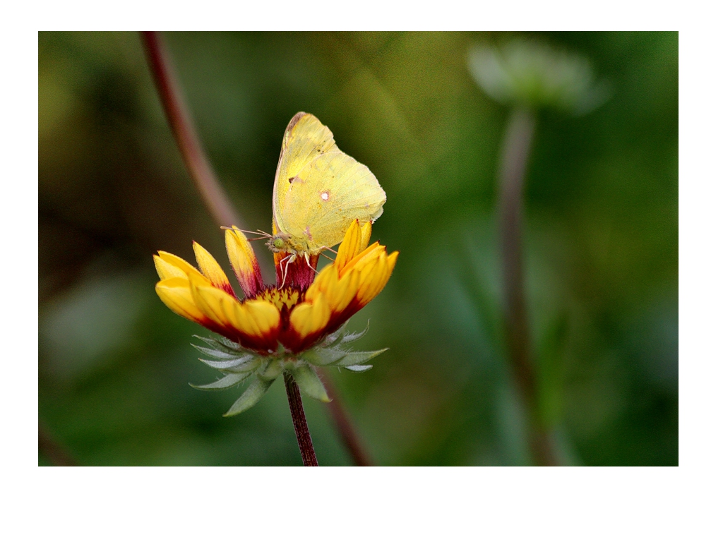 好久没来星空(中国)了，上几张随意的外拍。