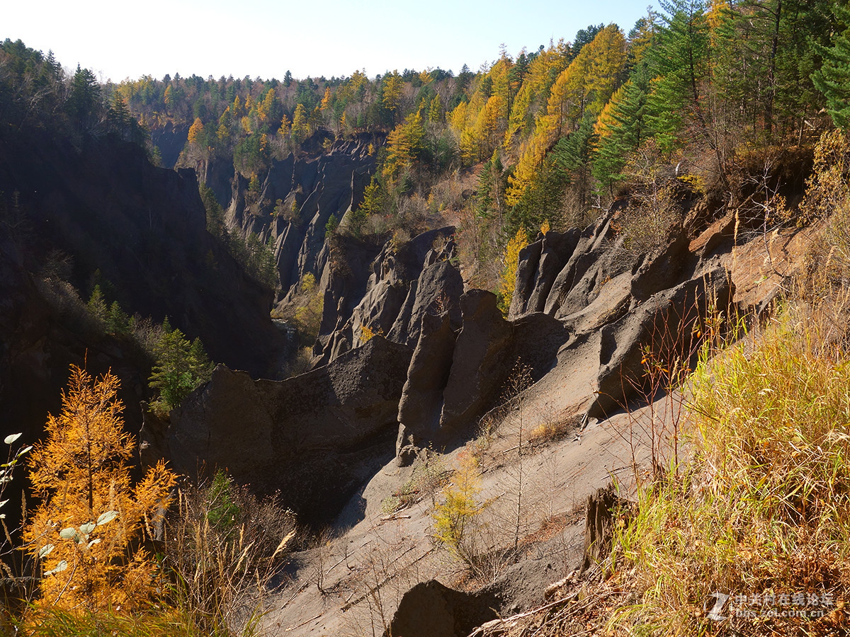 东北的美景看过来