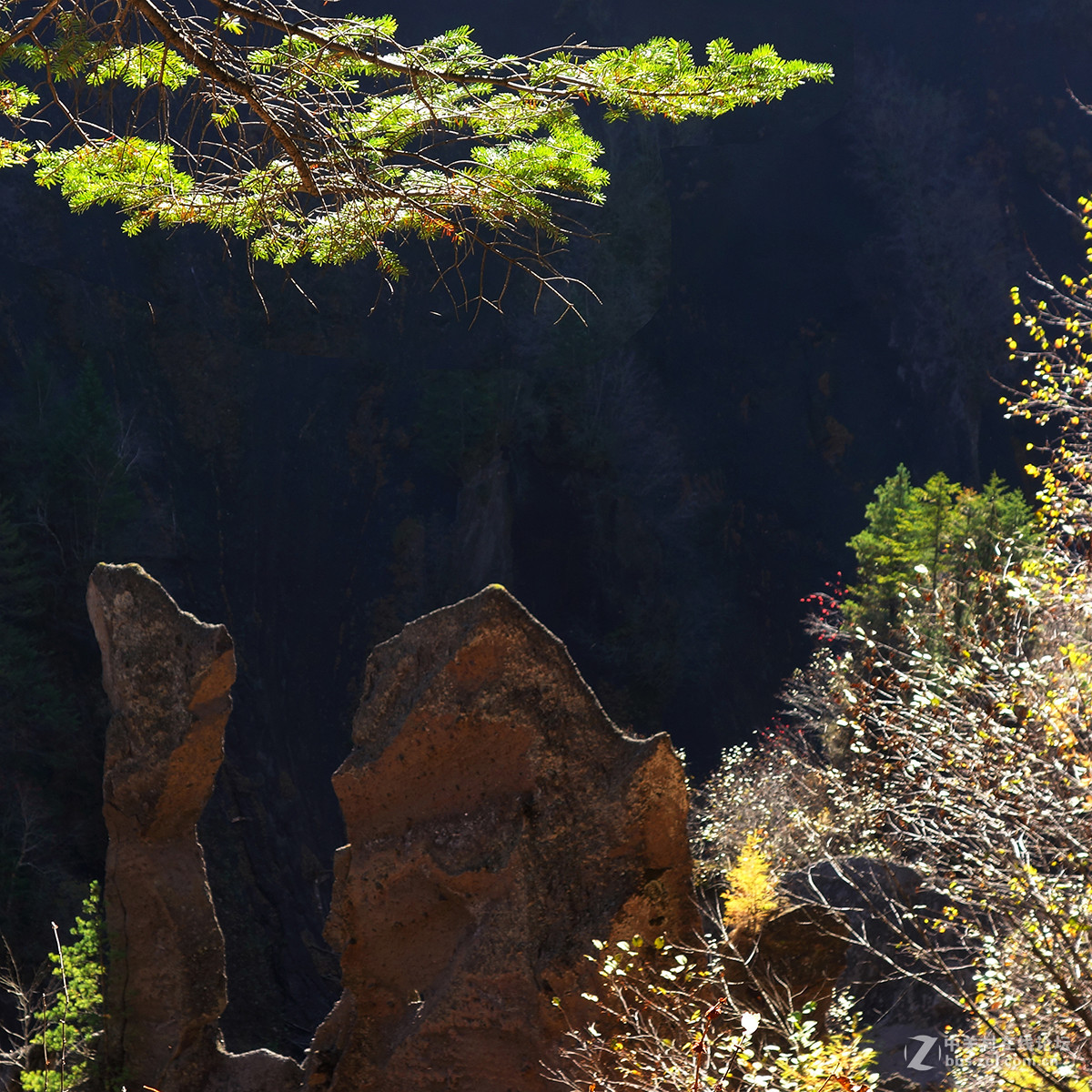东北的美景看过来