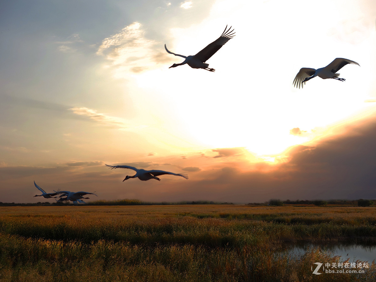 东北的美景看过来