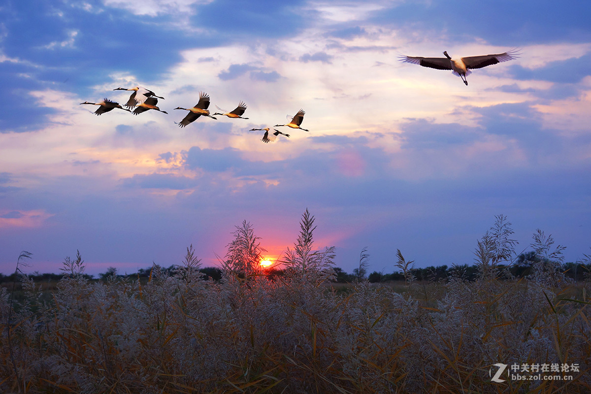 东北的美景看过来