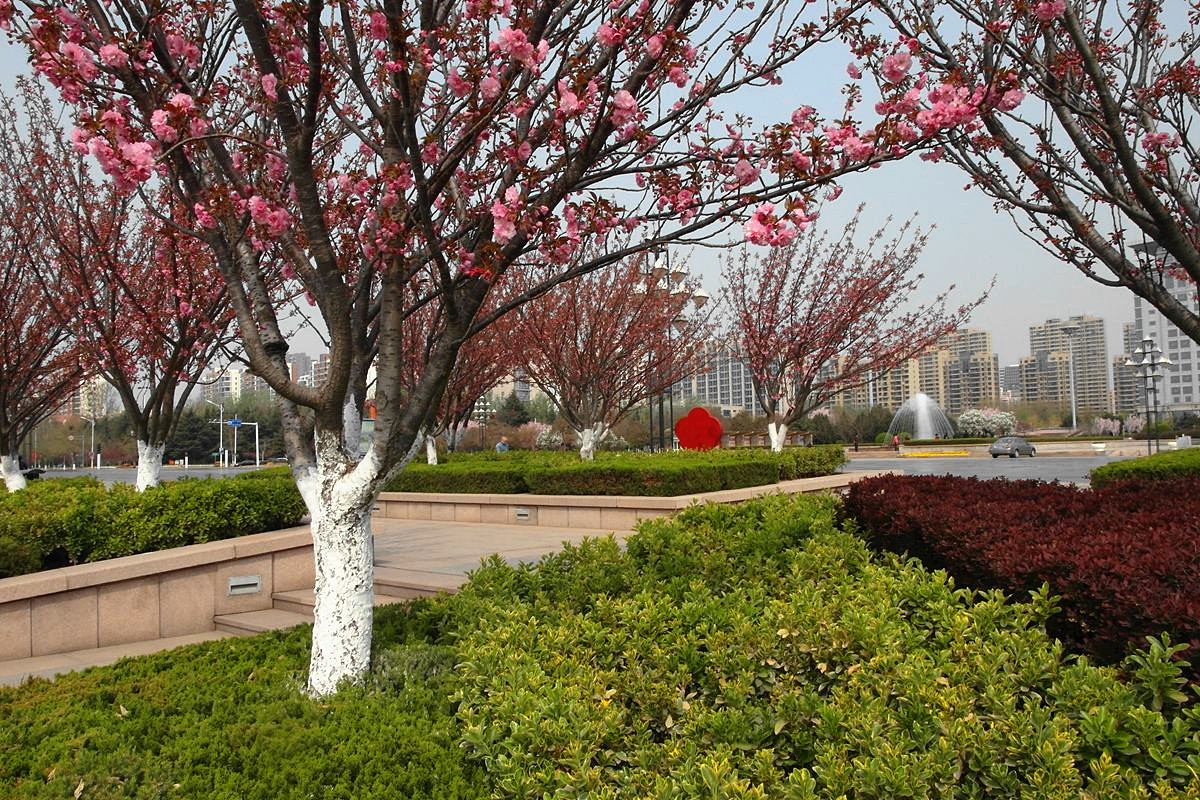 EX1-『春天里-结束篇』123...12P