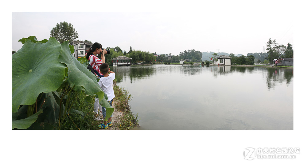 组照《是谁  偷走了我的心》