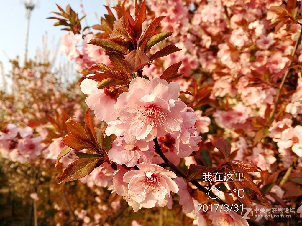 华为mate9上班途中随拍