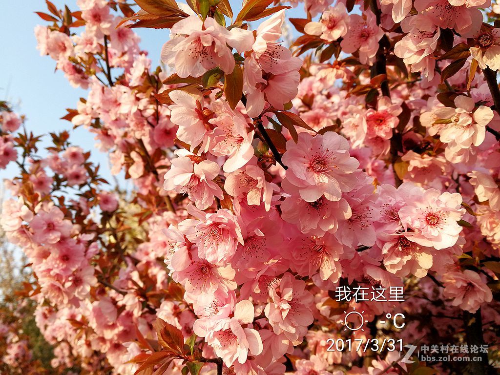 华为mate9上班途中随拍