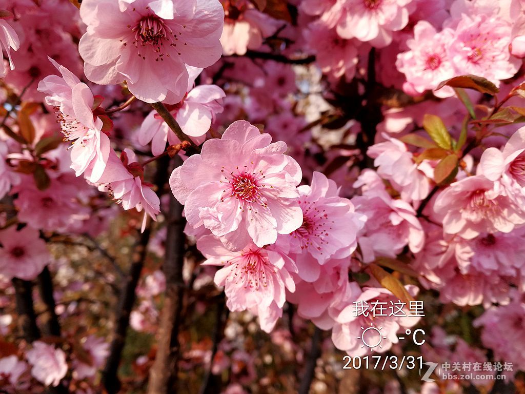 华为mate9上班途中随拍