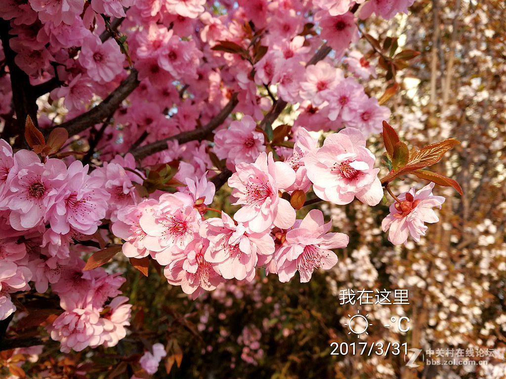 华为mate9上班途中随拍