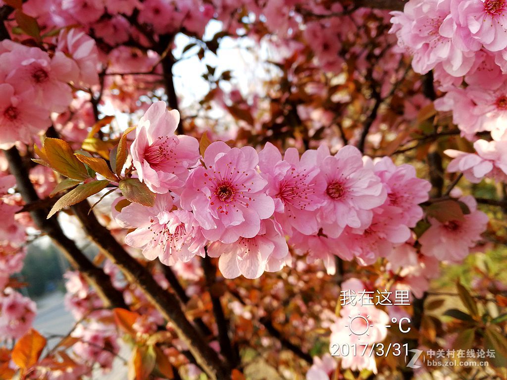 华为mate9上班途中随拍