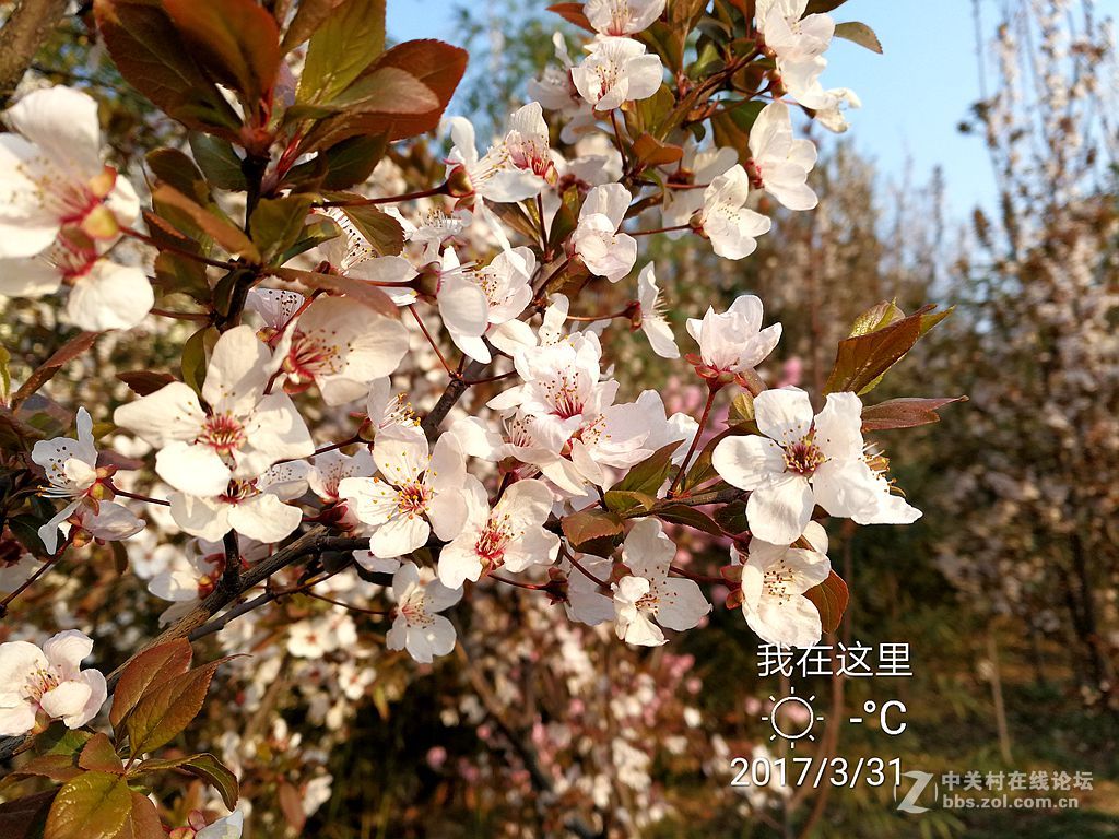 华为mate9上班途中随拍