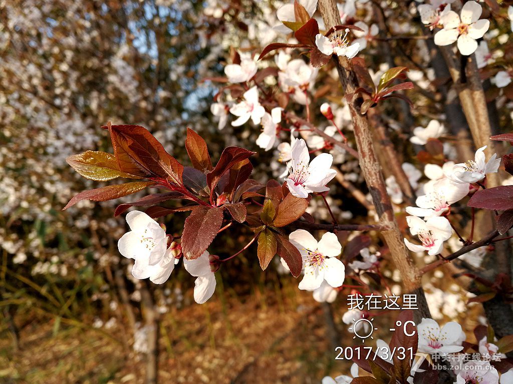 华为mate9上班途中随拍