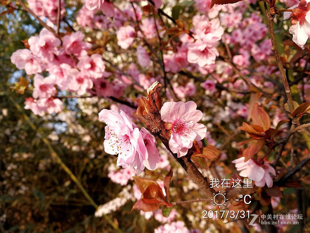 华为mate9上班途中随拍